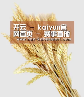 开云 - kaiyun官网首页 - 赛事直播平台